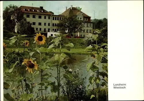Ak Wiesbach Eppelborn im Saarland, Landheim, Müttergenesungsheim, Sonnenblumen