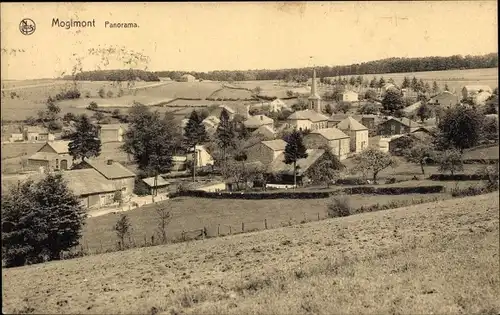 Ak Mogimont Wallonien Luxemburg, Panorama