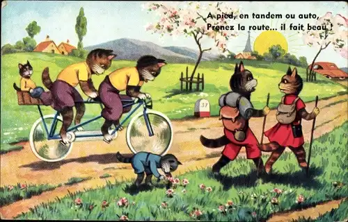 Ak Vermenschlichte Katzen, Wanderer, Tandem