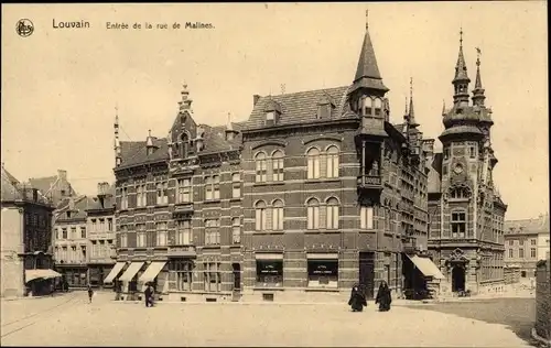 Ak Louvain Leuven Flämisch Brabant, Entree de la rue de Malines