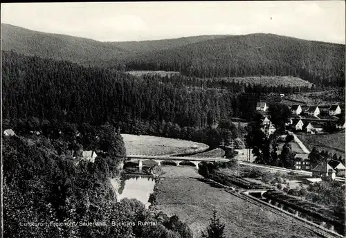 Ak Freienohl Meschede im Sauerland, Blick ins Ruhrtal