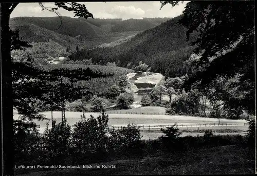 Ak Freienohl Meschede im Sauerland, Blick ins Ruhrtal