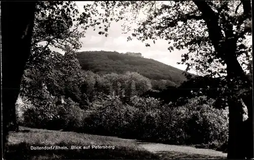 Ak Dollendorf Blankenheim an der Ahr Eifel, Blick auf Petersberg