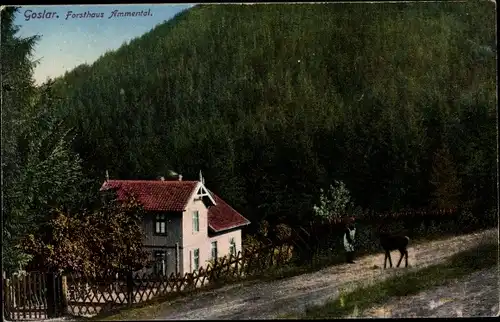 Ak Goslar am Harz, Forsthaus Ammental