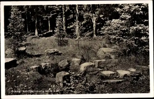 Ak Loßburg im Schwarzwald, Kinzig-Ursprung, Quelle