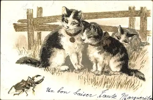 Ak Drei junge Katzen betrachten einen Hirschkäfer
