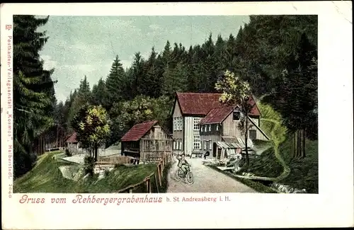 Ak St. Andreasberg Braunlage im Harz, Rehberger Grabenhaus, Wald