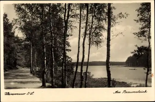 Ak Weißwasser in der Oberlausitz, Am Braunsteich