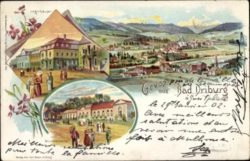 Litho Bad Driburg in Westfalen, Logierhäuser, Brunnenhalle