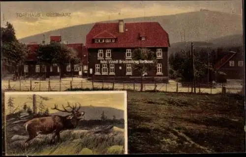 Ak Torfhaus Altenau Schulenberg Clausthal Zellerfeld Oberharz, Gasthaus Wendt, Brockenkrug, Hirsch