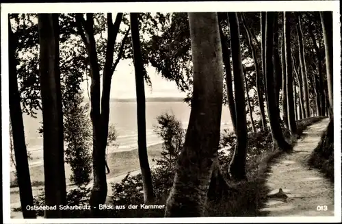 Ak Scharbeutz in Ostholstein, Blick aus der Kammer, Waldpartie