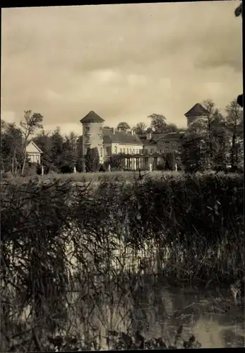 Foto Ak Rheinsberg in der Mark, Blick zum Schloss, Schilfgürtel