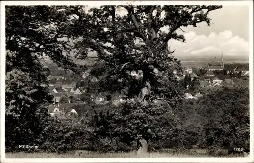 Ak Müllheim in Baden Markgräflerland, Gesamtansicht, Baum