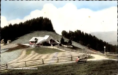 Ak Münstertal im Schwarzwald, Kälbelescheuer