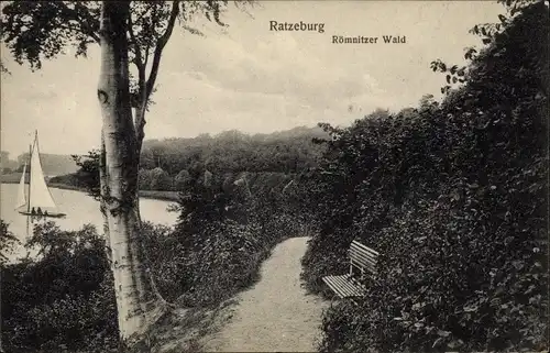 Ak Ratzeburg im Herzogtum Lauenburg, Römnitzer Wald