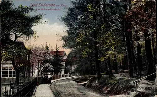 Ak Bad Suderode Quedlinburg im Harz, Schwedderholz