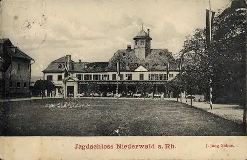 Ak Rüdesheim am Rhein, Jagdschloss Niederwald