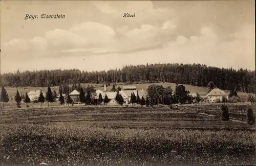 Ak Bayerisch Eisenstein im Bayrischen Wald Niederbayern, Häusl, Gesamtansicht