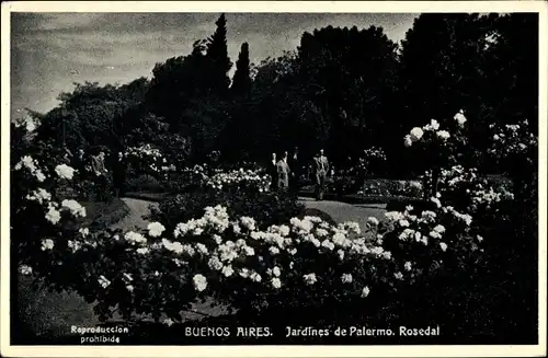 Ak Buenos Aires Argentinien, Jardines de Palermo, Rosedal