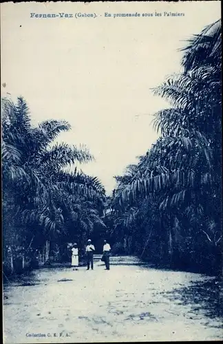 Ak Fernan Vaz Gabun, En promenade sous les Palmiers