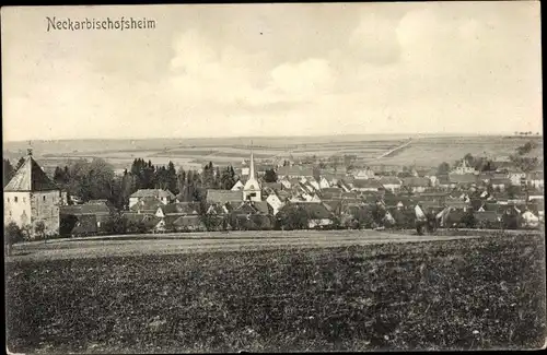 Ak Neckarbischofsheim in Baden, Panorama