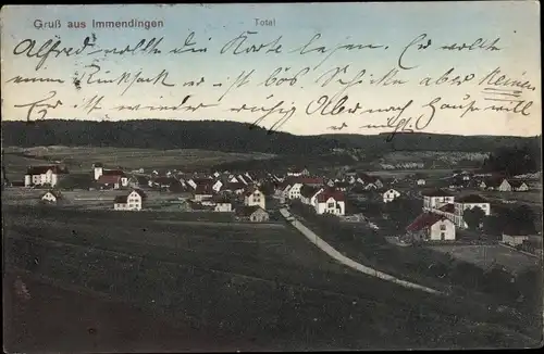 Ak Immendingen in Baden, Panorama