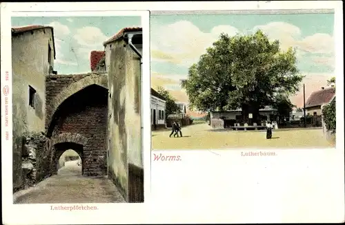 Ak Worms am Rhein, Lutherpförtchen, Lutherbaum