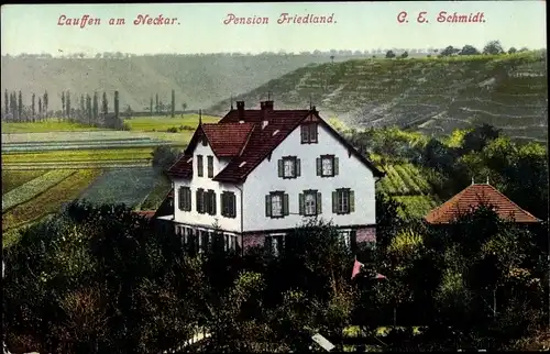 Ak Lauffen am Neckar, Pension Friedland