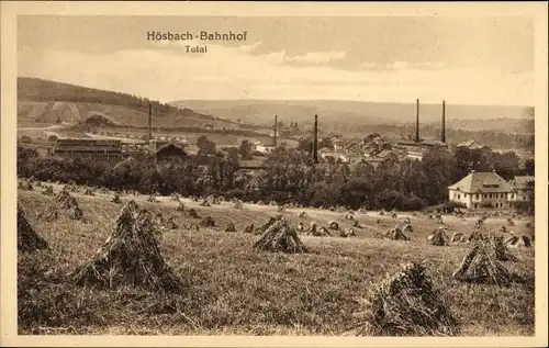Ak Hösbach in Unterfranken Bayern, Bahnhof, Totalansicht von Ort