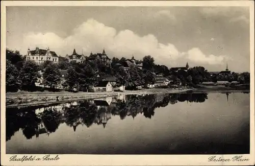 Ak Saalfeld an der Saale Thüringen, Grüner Hain