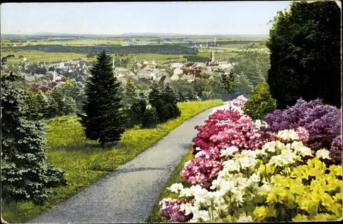 Ak Kamenz Sachsen, Blick vom Hutberg aus, Azaleen Anlagen