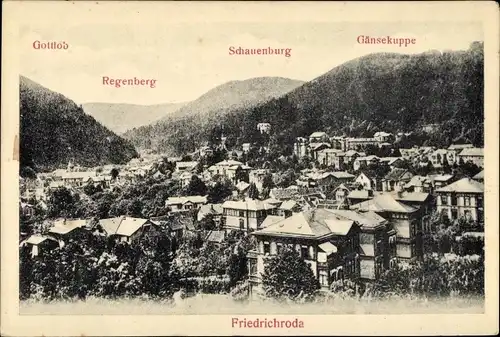 Ak Friedrichroda im Thüringer Wald, Ort, Gottlob, Regenberg, Schauenburg, Gänsekuppe