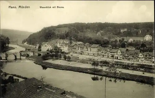 Ak Hann. Münden in Niedersachsen, Wasserblick mit Blume, Ortsansicht