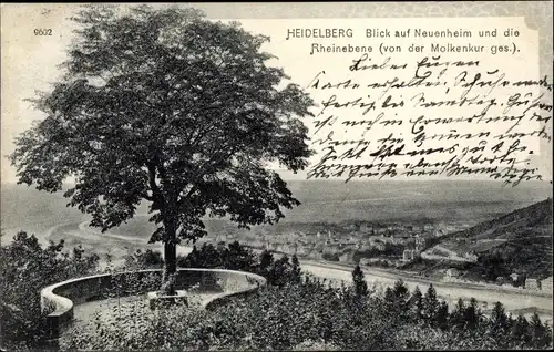 Ak Heidelberg am Neckar, Blivck auf Neuenheim und die Rheinebene von der Molkenkur gesehen