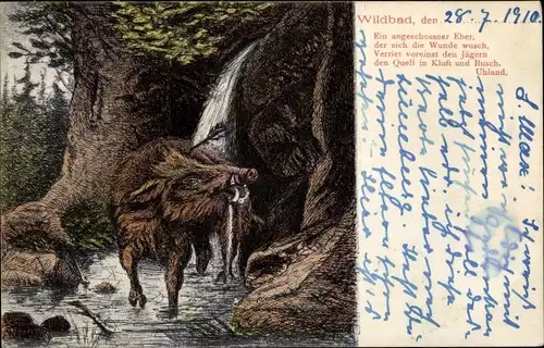 Ak Bad Wildbad im Schwarzwald, Wildschwein, Eber, Gedicht von Uhland
