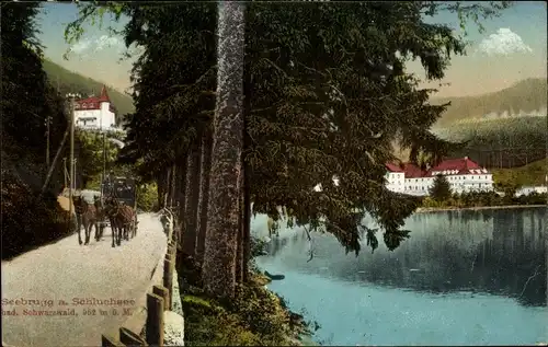 Ak Seebrugg Schluchsee im Schwarzwald, Partie am Schluchsee, Pferdekutsche