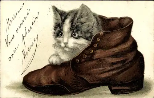 Litho Junge Katze in einem Schuh, Stiefel