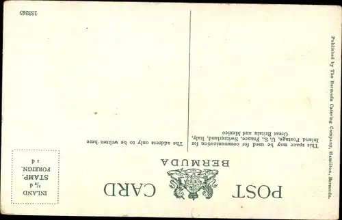 Ak Bermuda, Papaw and Banana Trees