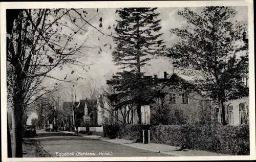 Ak Eggebek in Schleswig Holstein, Straßenpartie, Häuser