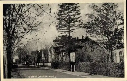 Ak Eggebek in Schleswig Holstein, Straßenpartie, Häuser