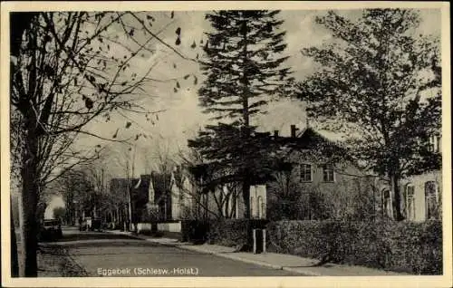 Ak Eggebek in Schleswig Holstein, Straßenpartie, Häuser