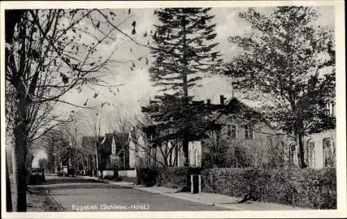 Ak Eggebek in Schleswig Holstein, Straßenpartie, Häuser