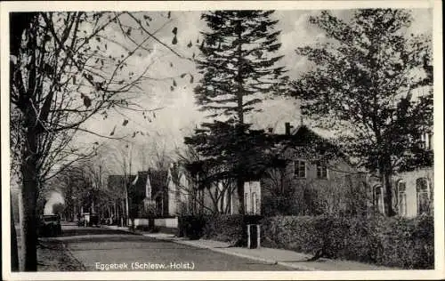 Ak Eggebek in Schleswig Holstein, Straßenpartie, Häuser