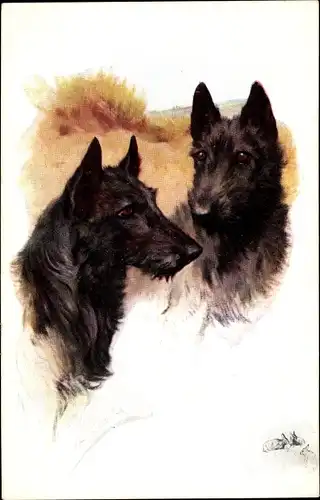 Künstler Ak Zwei schwarze Hunde, Hundeportrait