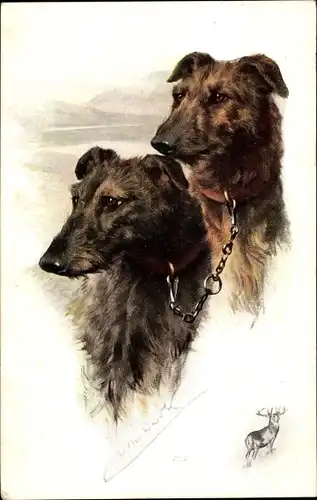 Künstler Ak Zwei aneinandergekettete Hunde, Hundeportrait