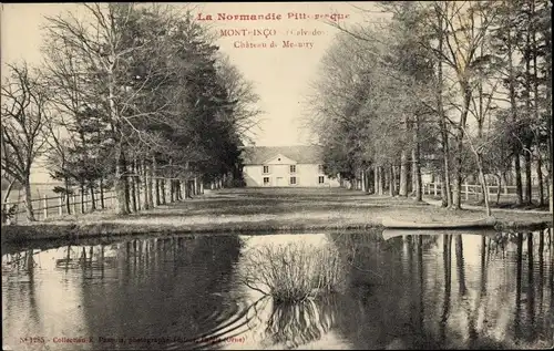 Ak Montpinçon Calvados, Chateau de Moutry