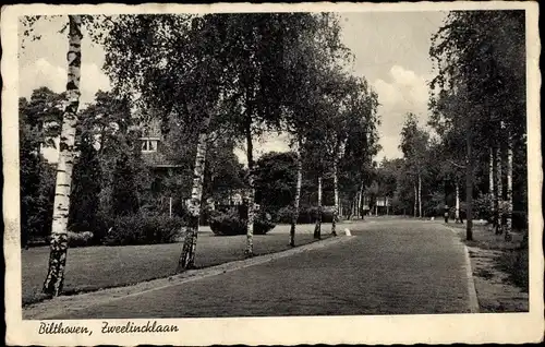 Ak Bilthoven De Bilt Utrecht Niederlande, Zweelincklaan