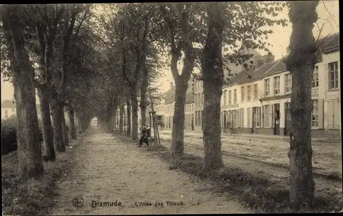 Ak Diksmuide Dixmude Westflandern, Den Lindenlaan, Allée des Tilleuls