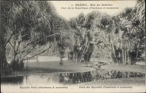 Ak Rio de Janeiro Brasilien, Parc de la Republique, Pandanus et musaceas