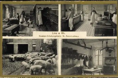 Ak Linz am Rhein, Knaben Erholungsheim St. Antoniushaus, Bäckerei, Küche, Schlachterei, Schweine